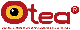LOGO-OTEA-2