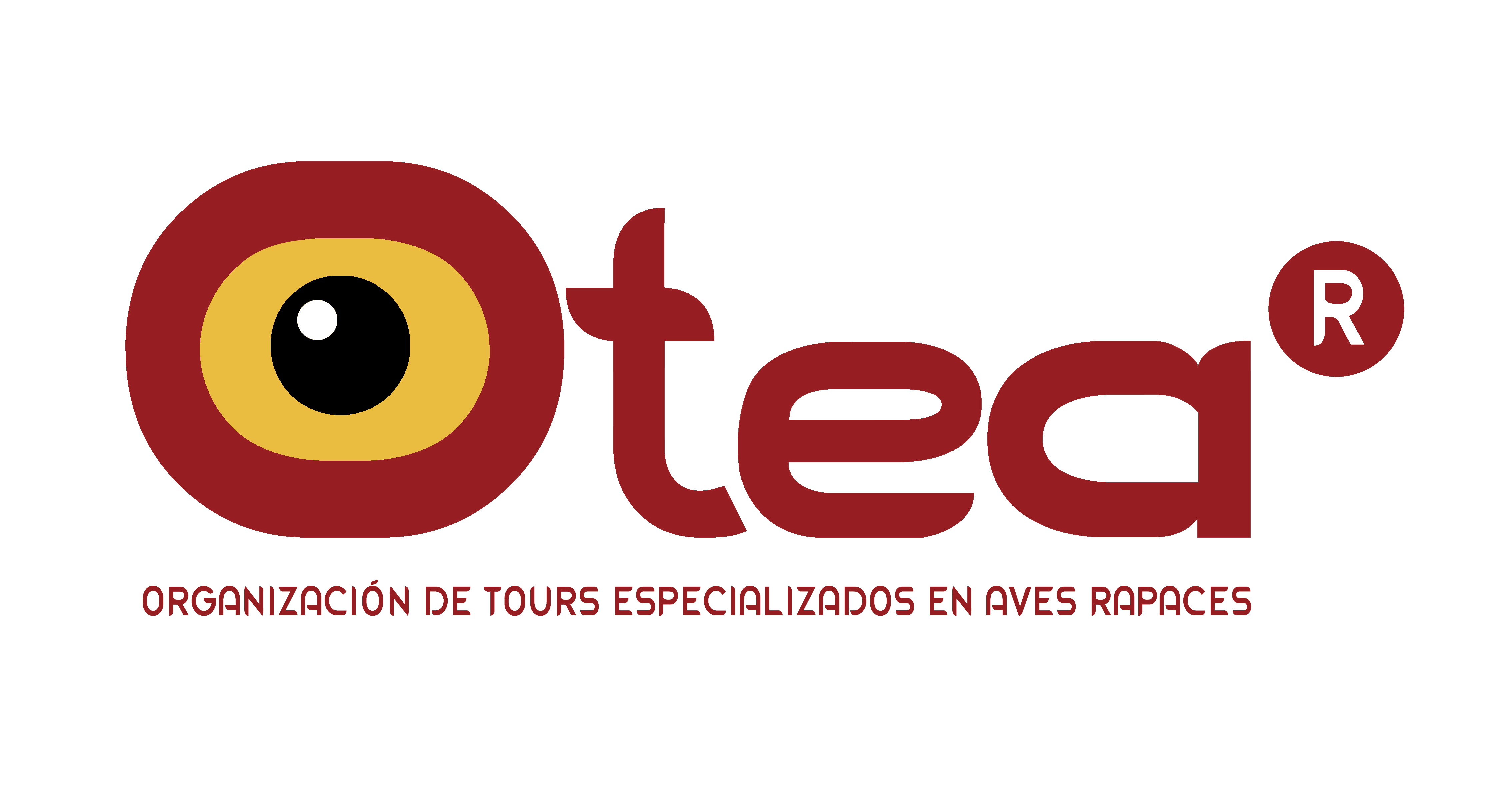 Oteafoto logo