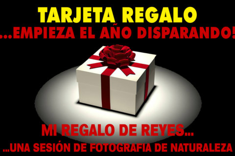 TARJETA REGALO IMAGEN DESTACADA