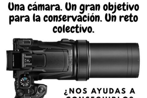 Sin título (536 x 402 px)